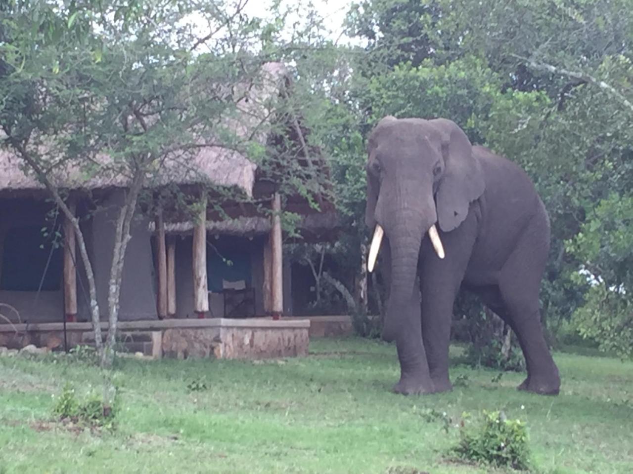 Queen Elizabeth Bush Lodge By Nature Lodges Ltd Katunguru Esterno foto